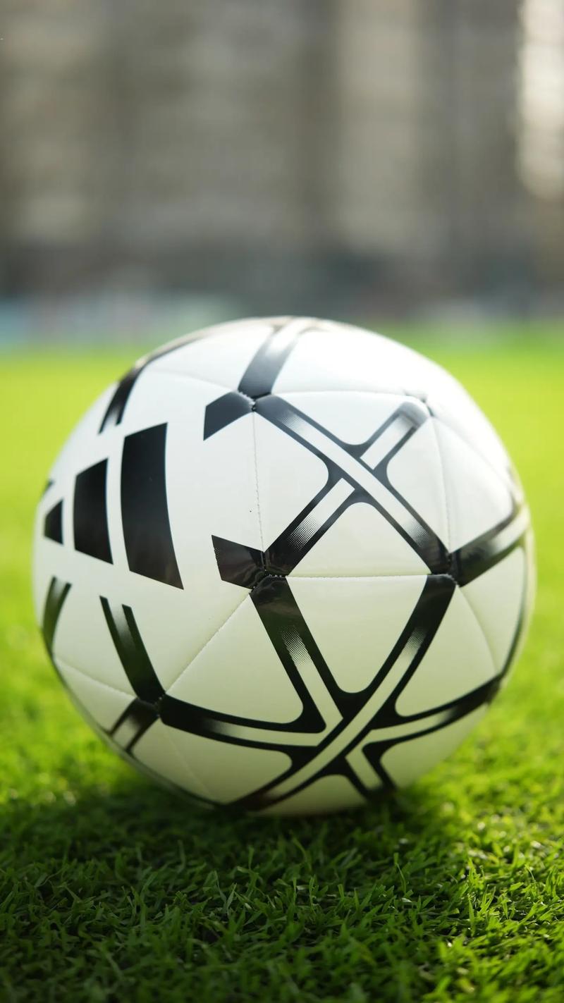 胜负彩21125期使用流程示意图