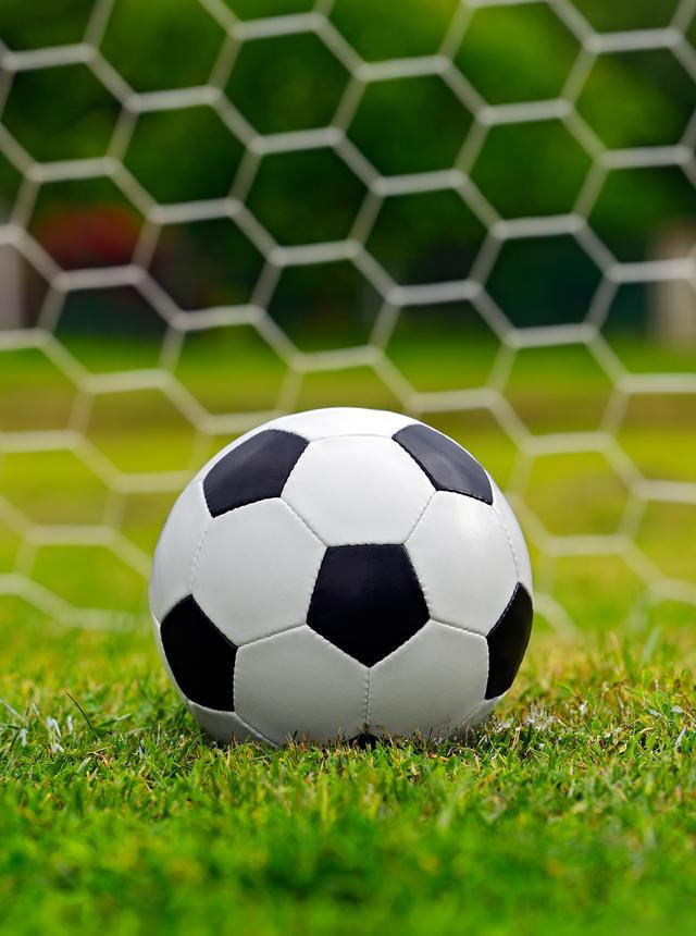 胜负彩21125期预测平台界面展示